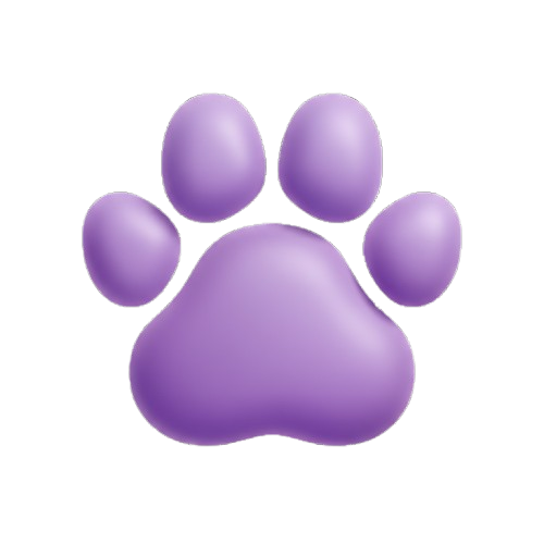 ACCESSOIRES DE TOILETTE