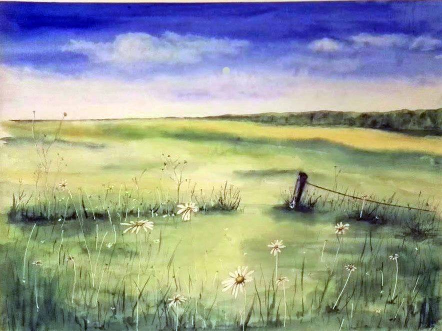 CHAMPS DE MARGUERITES – Aquarelle Originale